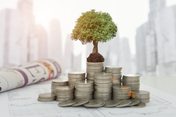 Investir dans un groupement forestier